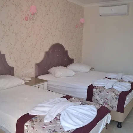 Turk Hotel 2*