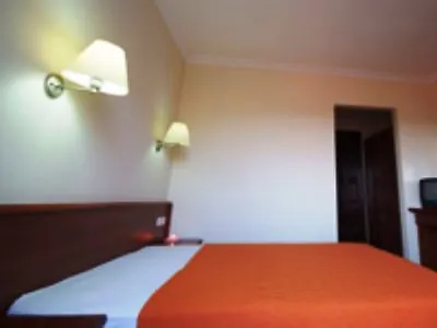 Turk 올루데니스